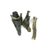 zwacz-wolowy-100g