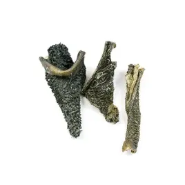 zwacz-wolowy-100g