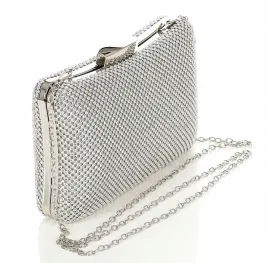 srebrna-zgrabna-blyszczaca-kopertowka-puzderko-na-lancuszku