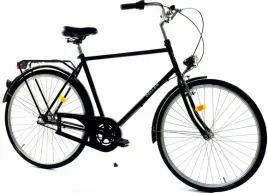 rower-dallas-holland-city-28-3spd-meski