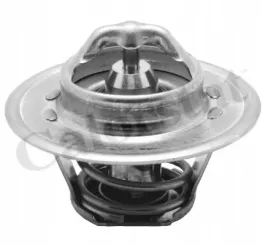 termostat-audi-seat-skoda-vw-2-0-tdi