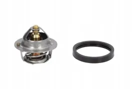 termostat-ford-fiesta-iv-focus-i-fiesta-v-82