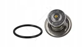 termostat-oryginal-vag-044121113-audi-seat-skoda-vw-tdi