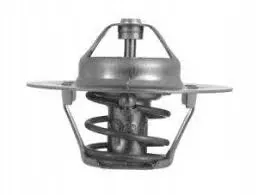termostat-renault-megane-laguna-clio-vernet