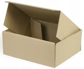 karton-pudelko-fasonowe-250x200x100-10-szt-400-g