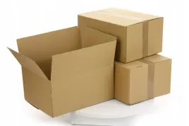 pudelko-karton-klapowe-420x300x250mm-660g-5w-40szt