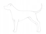 smycz-samba-xl-150-25cm-czarny-rodzaj-tradycyjna