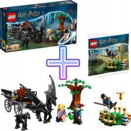 lego-harry-potter-76400-testrale-i-kareta-z-hogwartu-lego-30651-trening