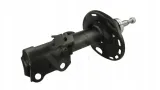 amort-p-auris-07-p-gaz