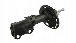 amort-p-auris-07-p-gaz