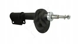 amort-p-bmw-x5-00-p-gaz