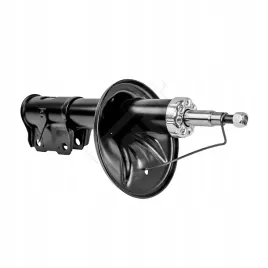 amort-p-carisma-99-06-p-gaz