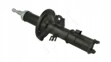 amort-p-getz-02-l-gaz