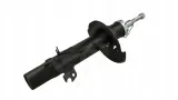 amort-p-p207-06-p-gaz