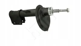 amort-p-peugeot-307-00-p-gaz