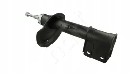 amort-p-peugeot-307-2-0hdi-05-l-gaz