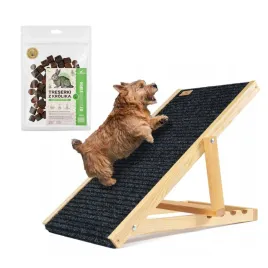 schody-schodki-rampa-dla-psa-kota-regulowana-drewniana-trenerki