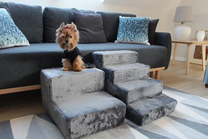 schodki-schody-dla-psa-liczba-stopni-1