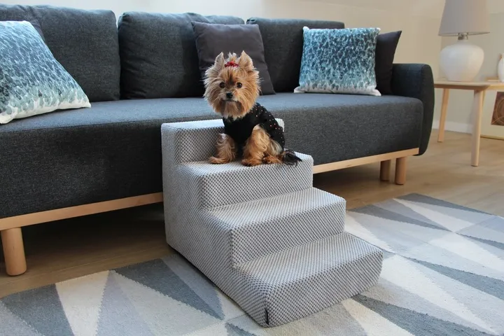 schodki-schody-dla-psa-marka-inna-rozmiar-s