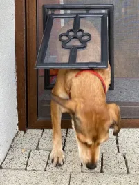 furtka-wahadlowa-klapa-klapka-wejscie-do-moskitiery-dla-zwierzat-psow-kotow