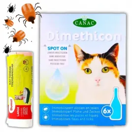 preparat-na-pchly-i-kleszcze-dla-kota-na-pol-roku