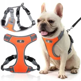 szelki-dla-malego-psa-bezuciskowe-mocne-guard-m