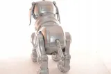 tekno-pies-robot-plec-chlopcy