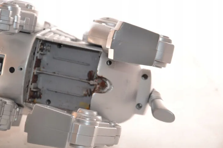 tekno-pies-robot-certyfikaty-opinie-atesty-ce
