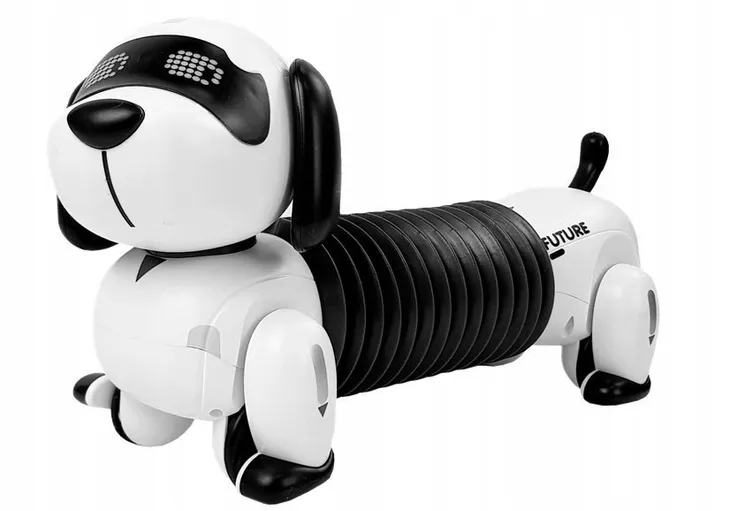 tekno-pies-robot-skala-1-12