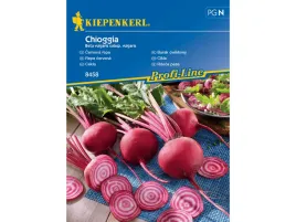 burak-cwiklowy-chioggia-odporna-odmiana-nasiona-kiepenkerl