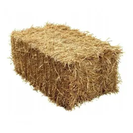 sloma-legowisko-sciolka-dla-psa-4kg