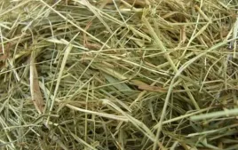 naturalne-siano-dla-gryzoni-i-krolikow-5kg