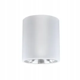 oprawa-sufitowa-natynkowa-tuba-jupiter-13-biala-e27-goldlux