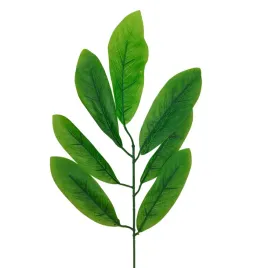 lisc-gardenia-gumowany-12szt-cf7-36