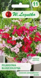 nasiona-pelargonia-speedy-5-nasion-legutko