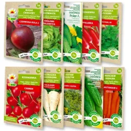 nasiona-warzyw-na-tasmie-burak-ogorek-rzodkiewka-salata-pietruszka-zestaw