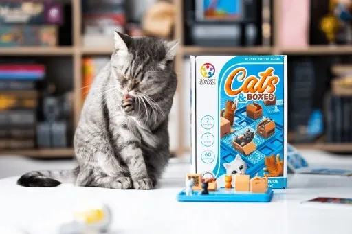 cats-and-boxes-smart-games-eng-iuvi-games-wersja-jezykowa-gry-niezalezna-jezykowo