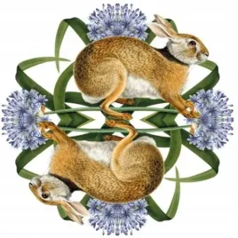 karnet-kwadrat-z-koperta-european-brown-hare