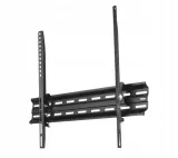 hama-00118108-motion