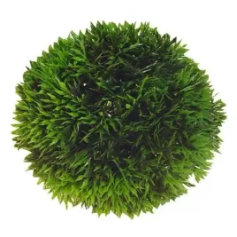 hobby-sztuczna-roslina-akwariowa-plant-ball-13-cm-41542