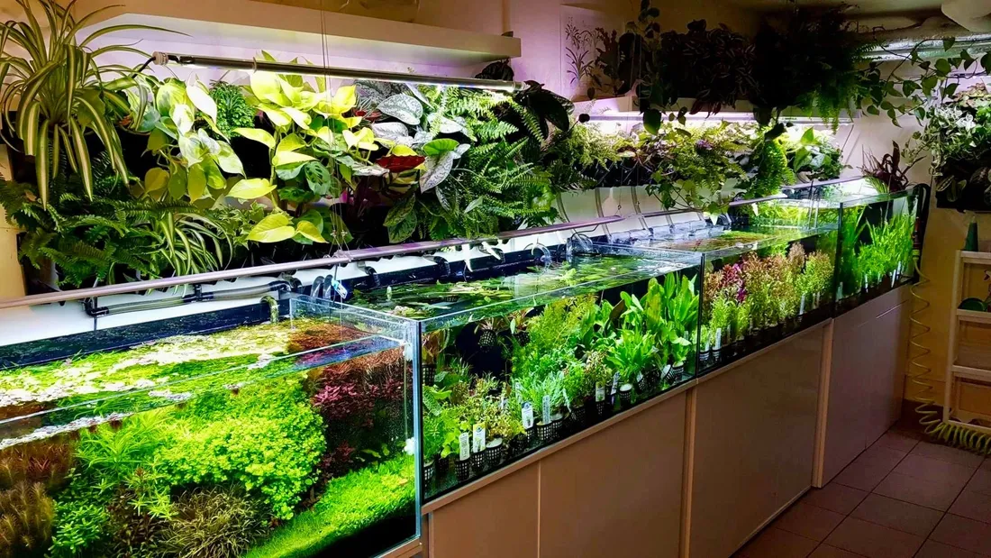 eheim-classicledcontrol-e-4200160