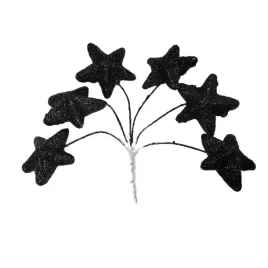 gwiazdka-glitter-xg61-24-black-wiazka