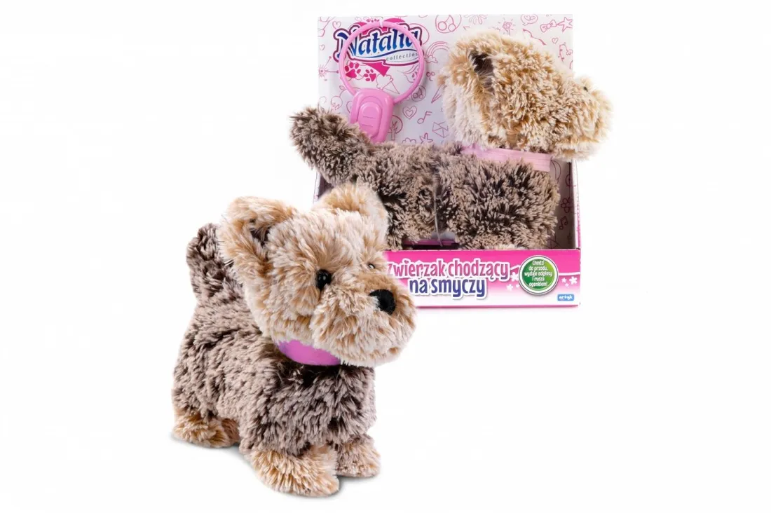 piesek-chodzacy-na-smyczy