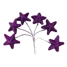 gwiazdka-glitter-xg61-11-purple-wiazka