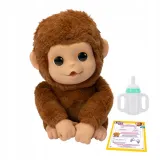 moja-malpka-mango-little-live-pets-stan-nowy