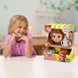 moja-malpka-mango-little-live-pets-plec-chlopcy-dziewczynki