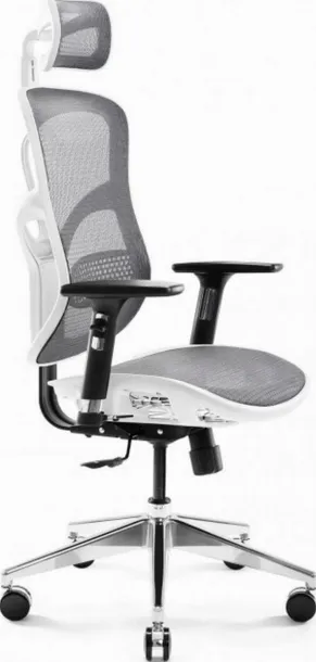 diablo-v-basic-bialo-szary-rodzaj-ergonomiczny-obrotowy