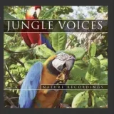 jungle-voices-cd