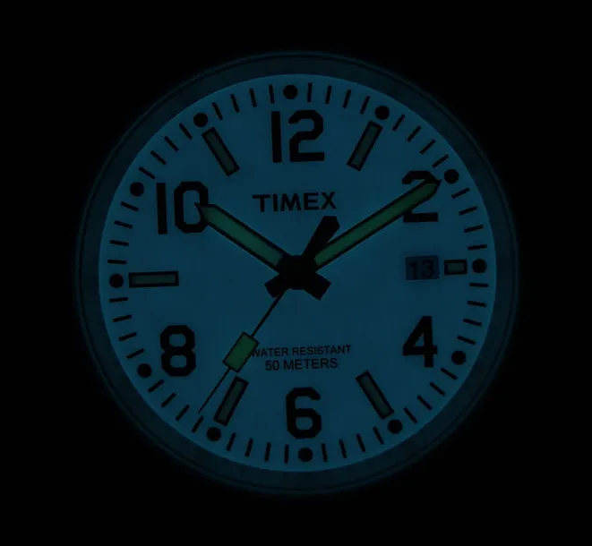 zegarek-timex-t2p007-mechanizm-kwarcowy