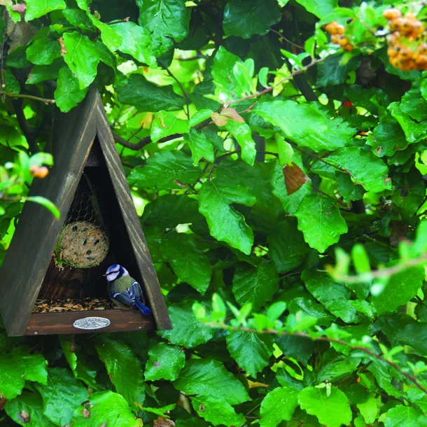 karmnik-dla-ptakow-fb238-esschert-glebokosc-produktu-18-cm